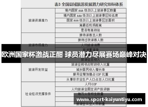 欧洲国家杯激战正酣 球员潜力尽展赛场巅峰对决