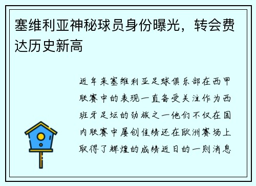 塞维利亚神秘球员身份曝光，转会费达历史新高